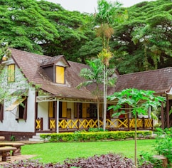 brown wooden house near green trees during daytime