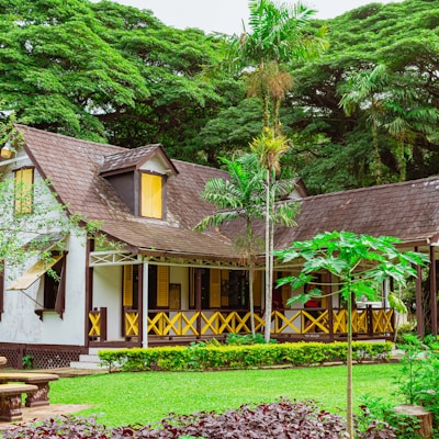 brown wooden house near green trees during daytime