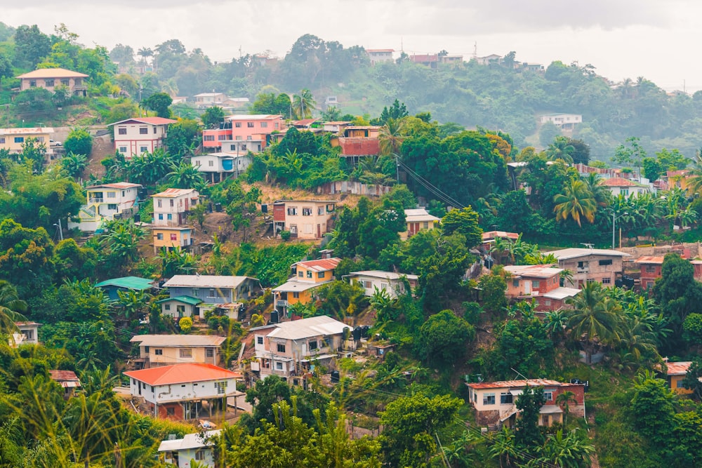 aerial view of houses and trees during daytime