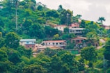 white and brown concrete building surrounded by green trees during daytime