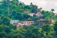 white and brown concrete building surrounded by green trees during daytime
