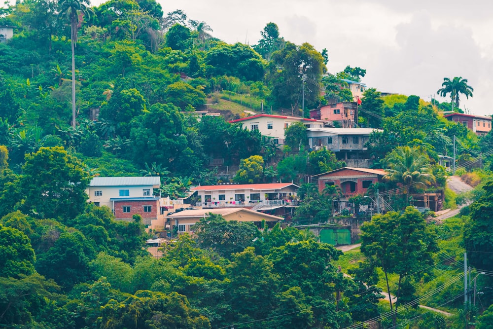 white and brown concrete building surrounded by green trees during daytime