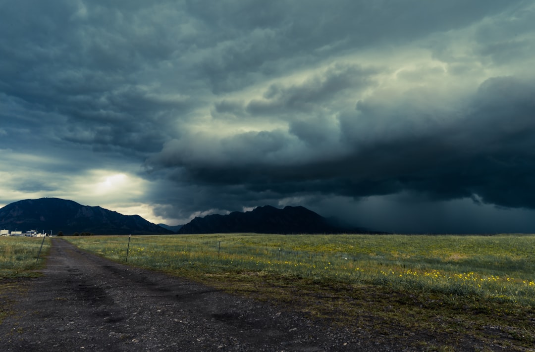 green grass field under gray clouds