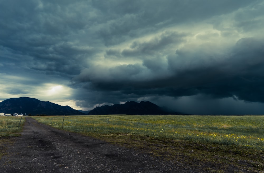 green grass field under gray clouds