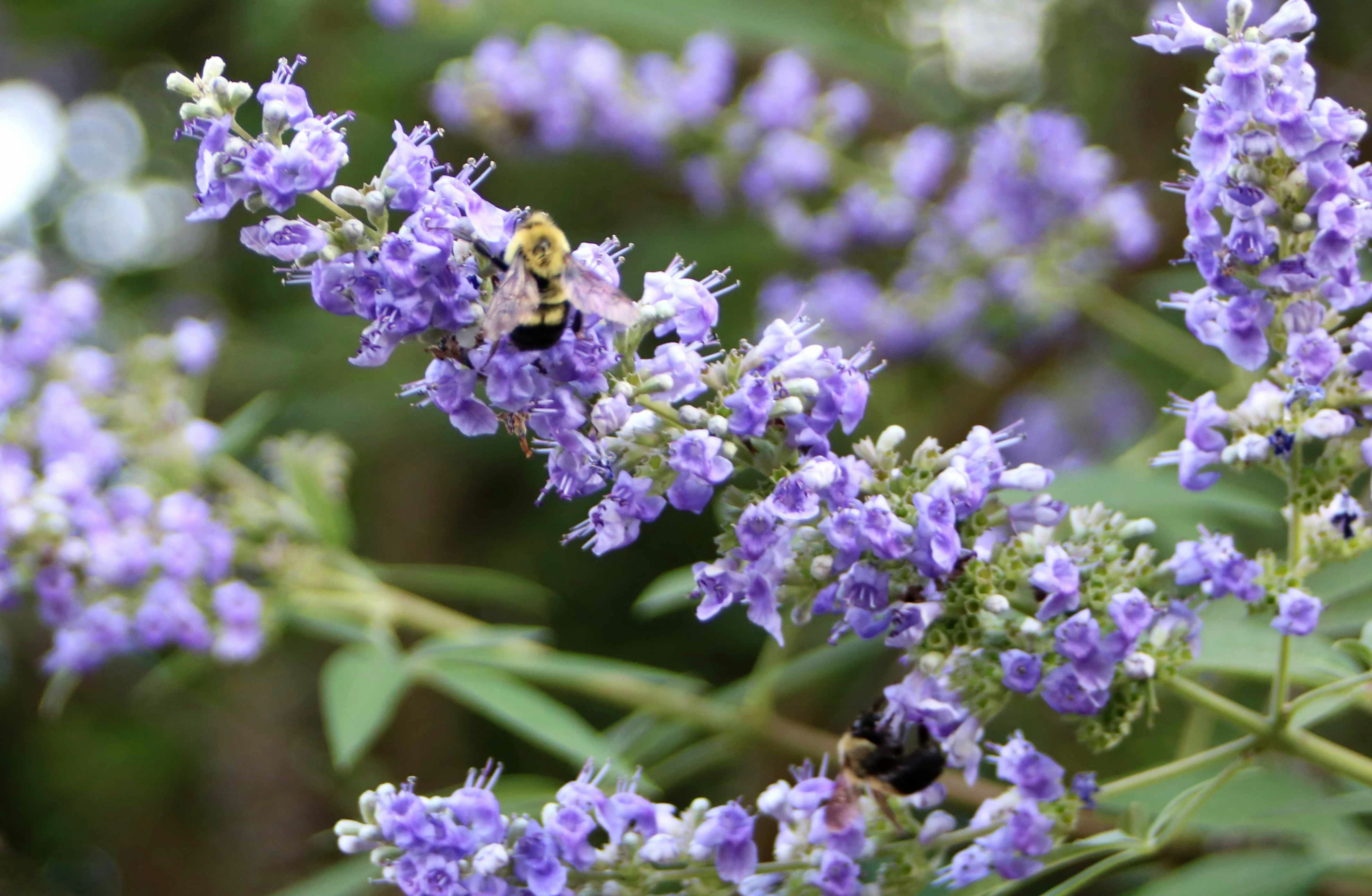 Photo by free_indeed_john8_36