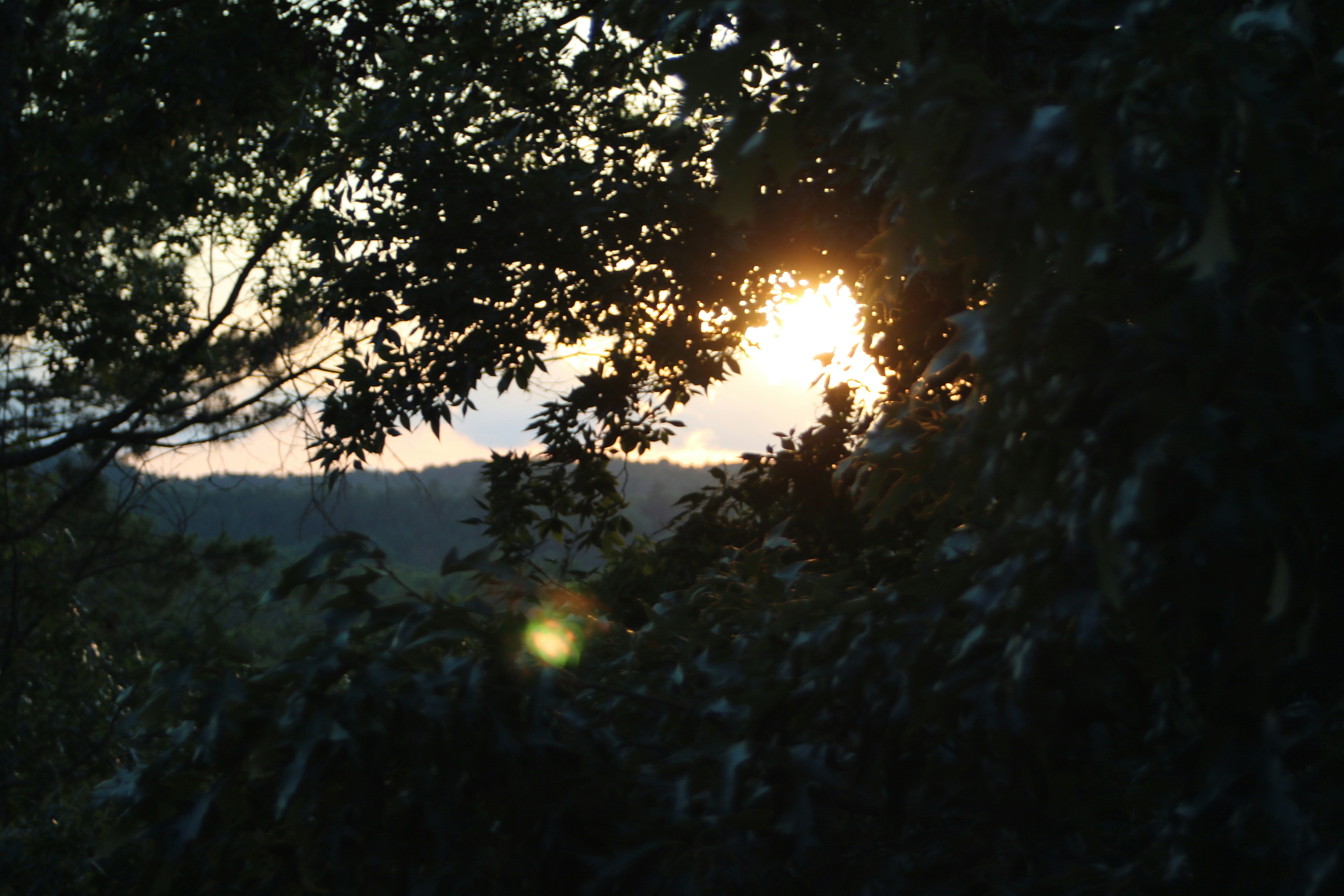 Photo by free_indeed_john8_36