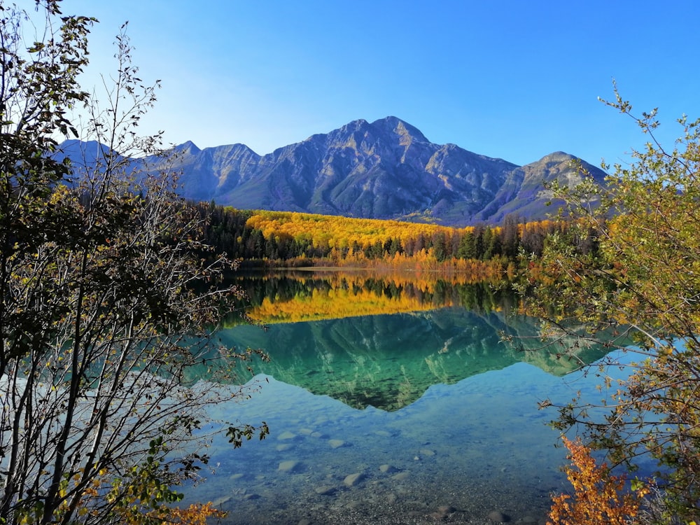 green trees near lake and mountain under blue sky during daytime