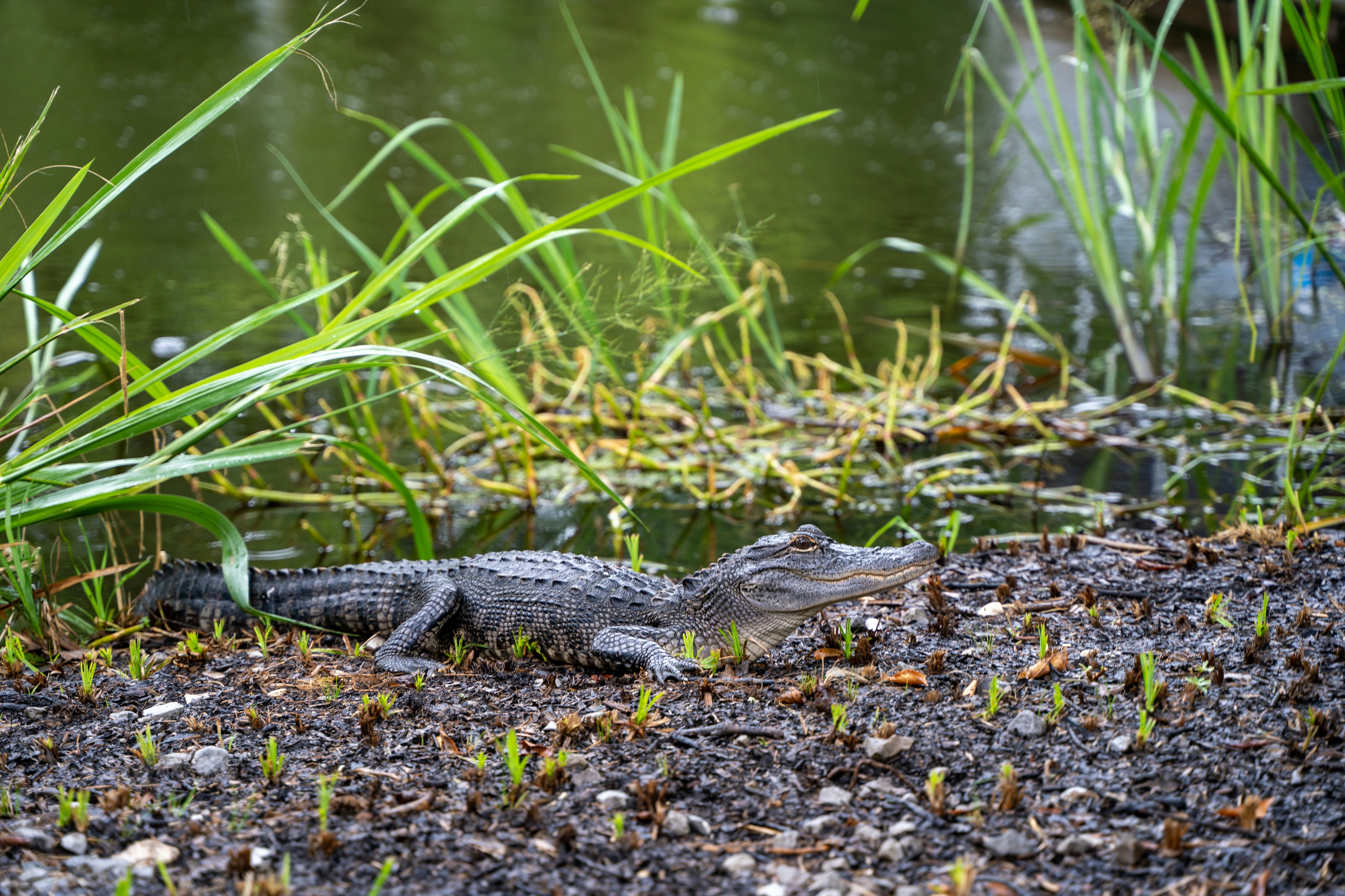 Photo by whaleitsjessica