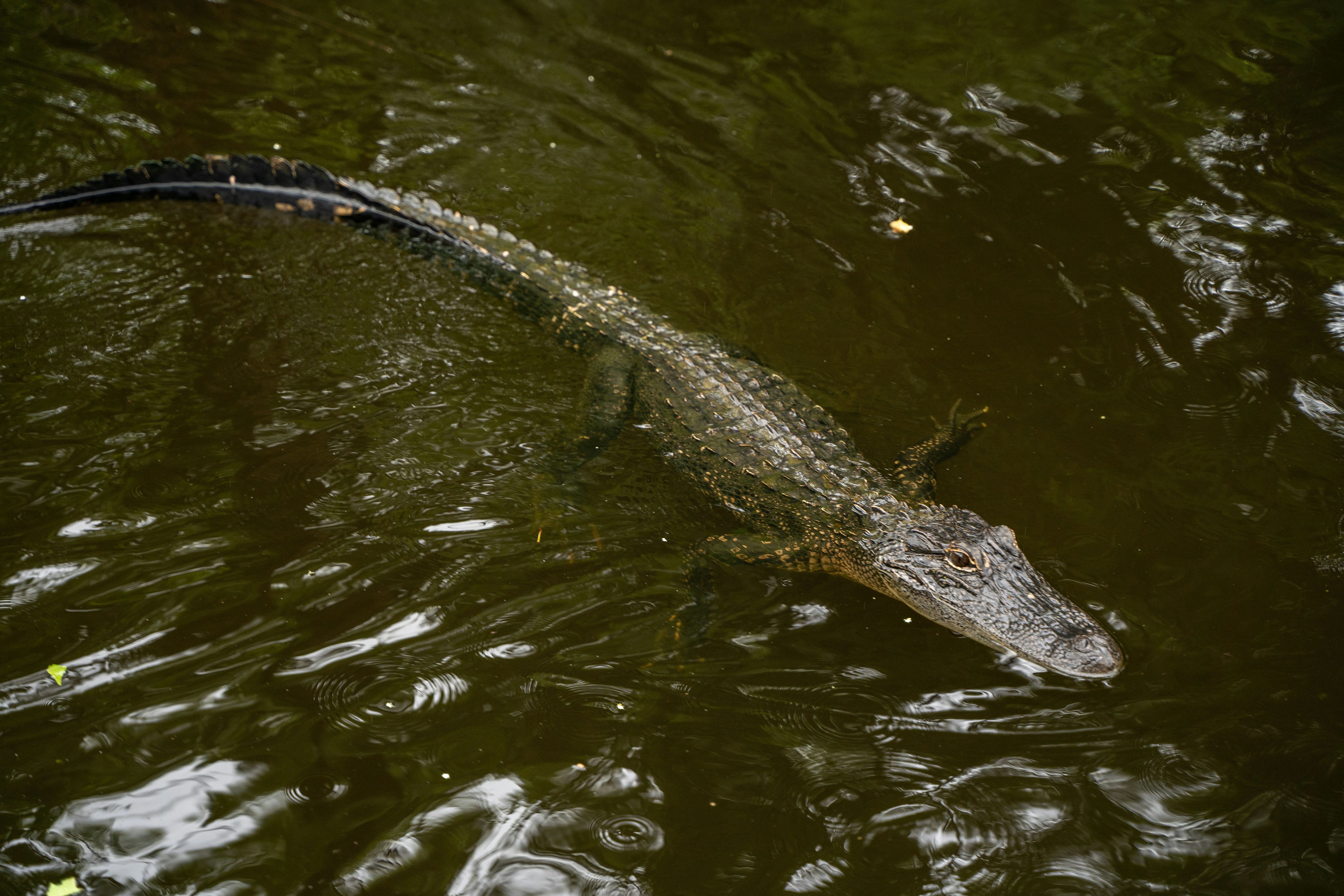 Photo by whaleitsjessica