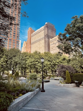 An urban park with well-lit pathways and benches.