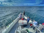 people riding on white boat during daytime