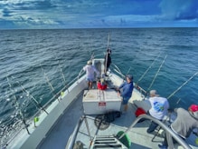 people riding on white boat during daytime