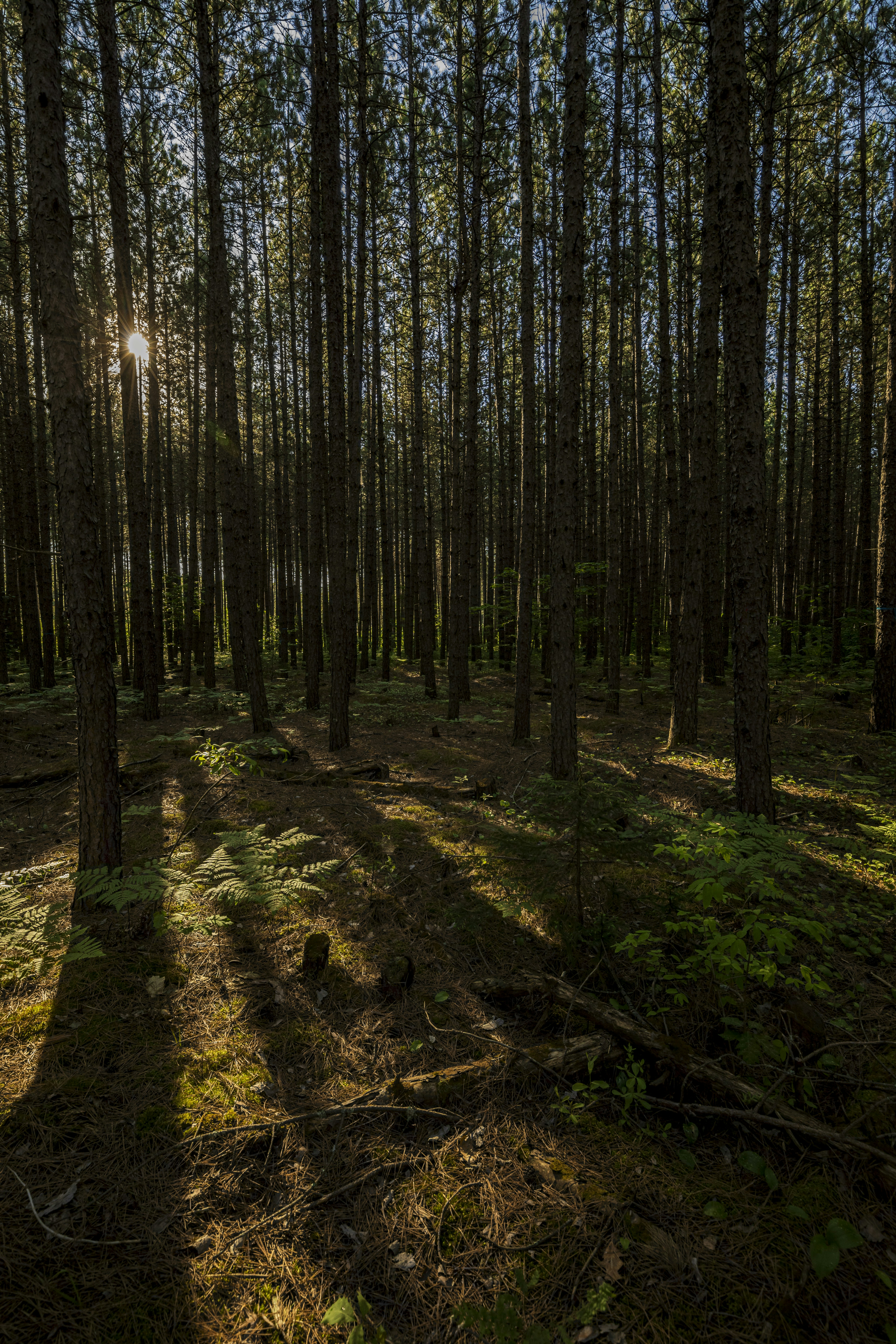 Photo by camerauthor