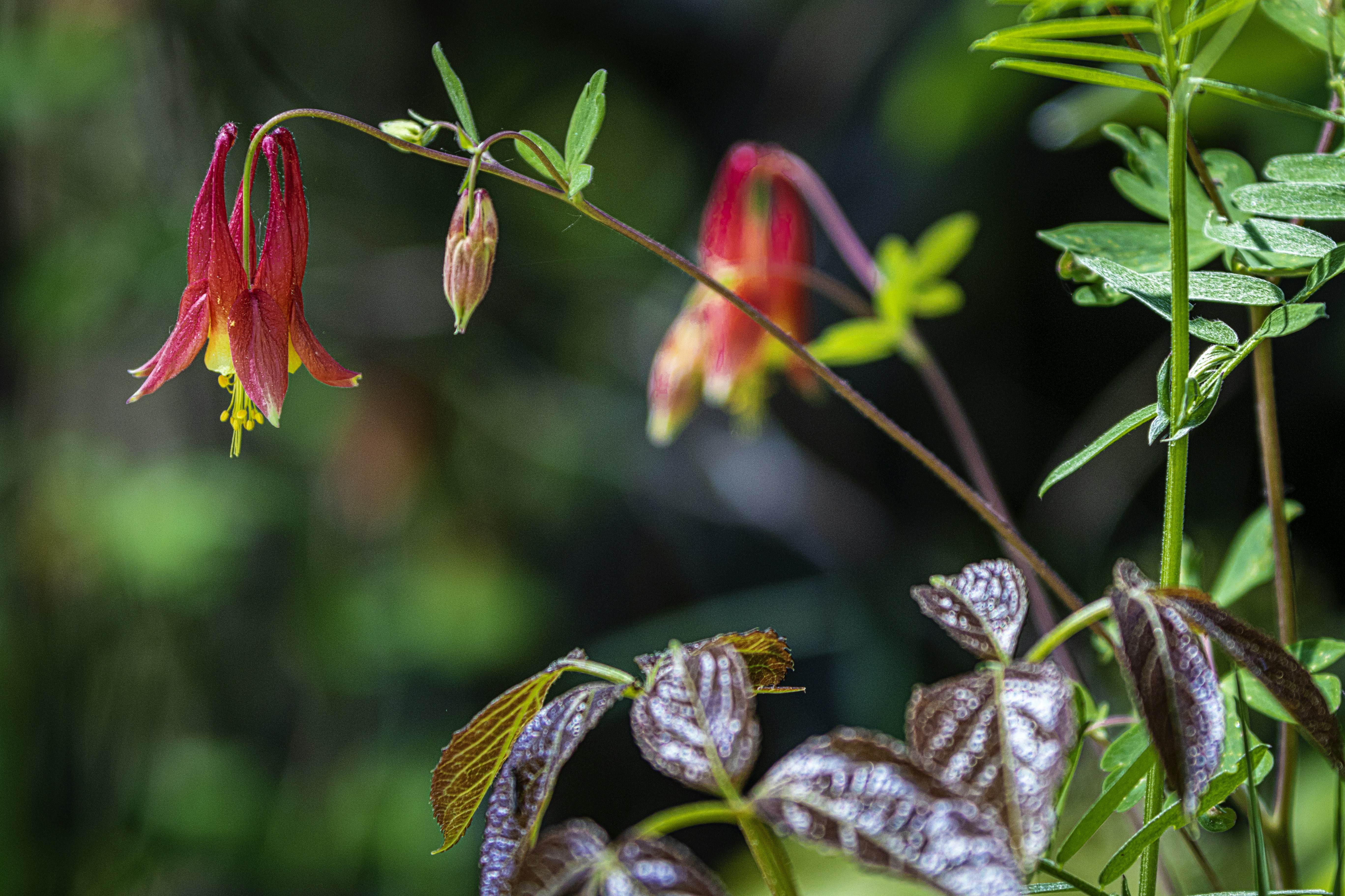 Photo by camerauthor