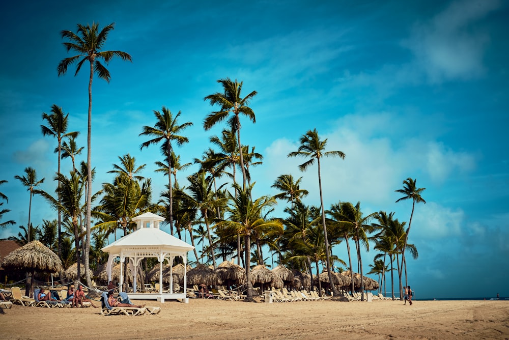 white and blue beach umbrellas on beach during daytime