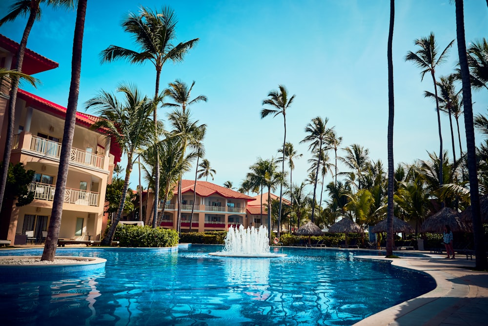 swimming pool near palm trees during daytime