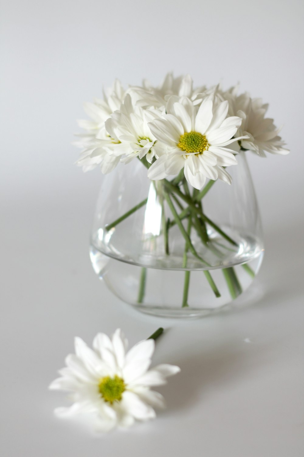 white and yellow flowers in clear glass vase