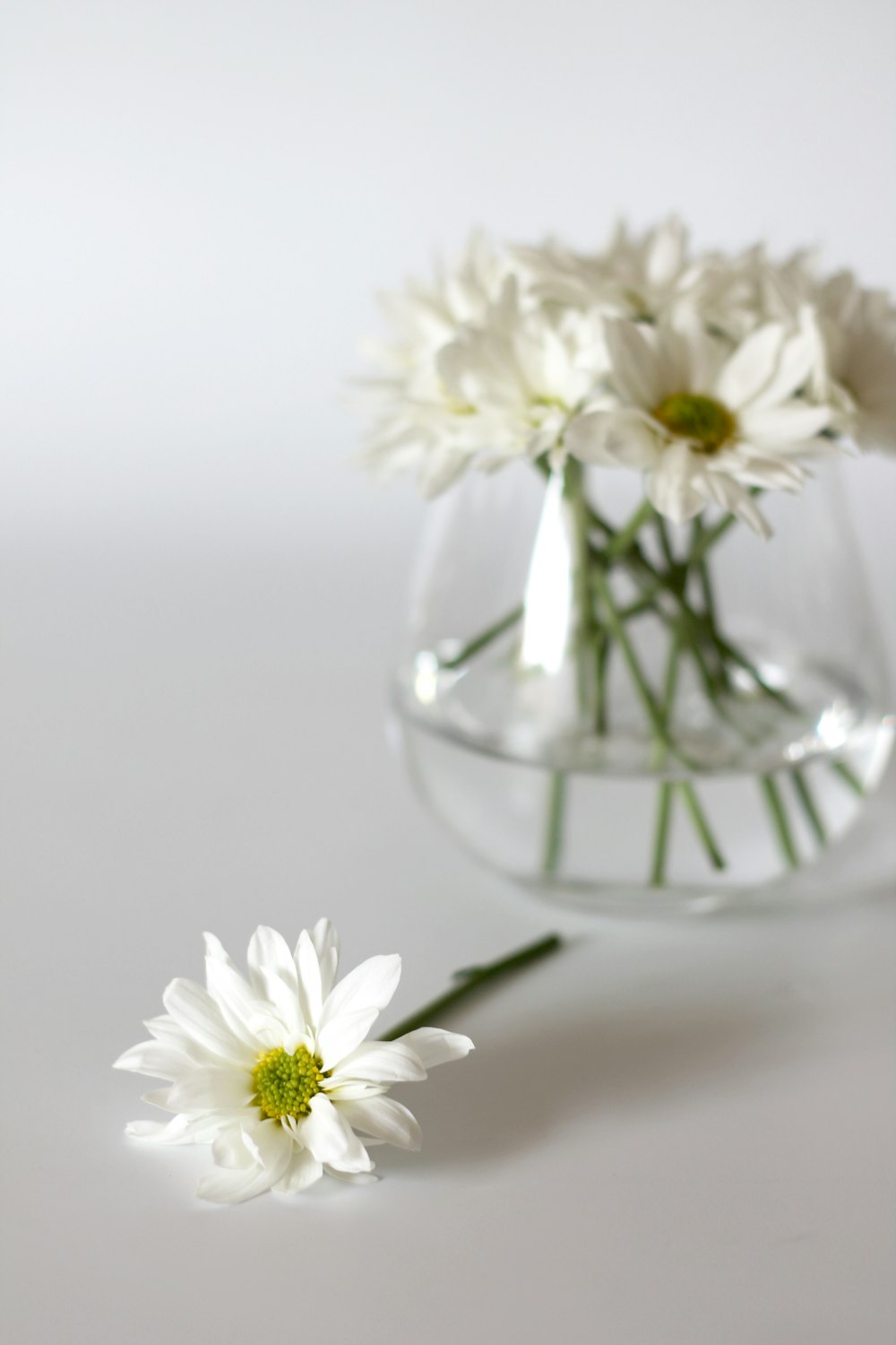 flores brancas e amarelas no vaso de vidro transparente