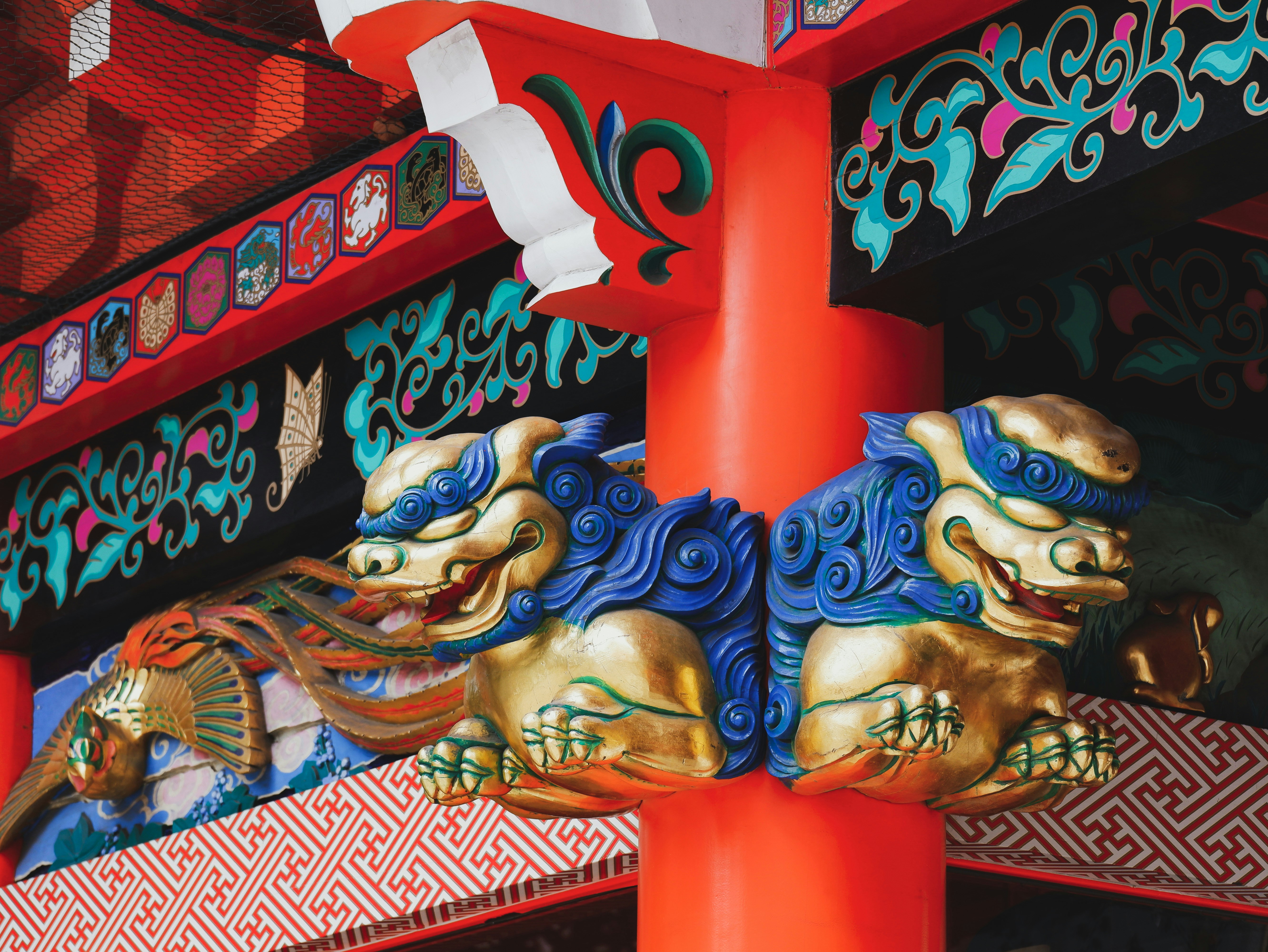 Photo by susannschuster