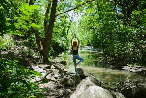 Tranquil outdoor yoga class surrounded by tall trees and soft morning light.