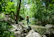 A person is practicing yoga on a large rock by a serene forest stream. Surrounded by lush, green foliage, the individual stands in a tree pose with arms raised, facing away. Sunlight filters through the tree canopy, casting dappled light on the forest floor.