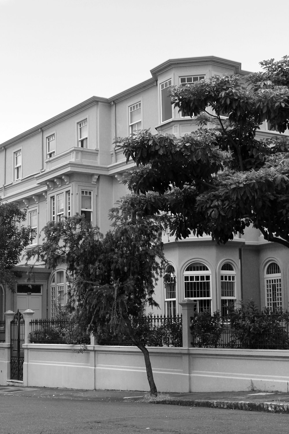 grayscale photo of tree in front of building