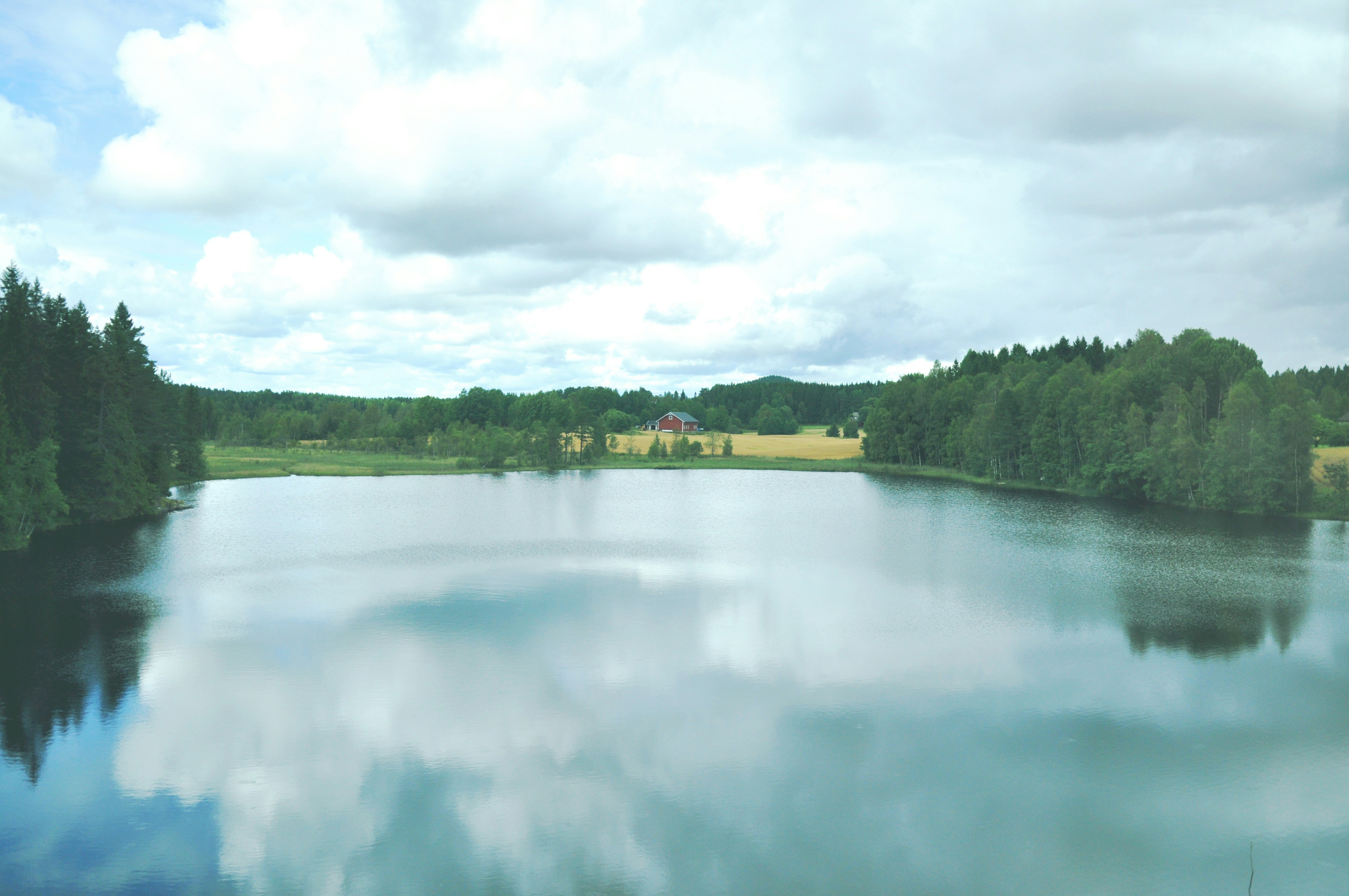 Photo by tommaomaoer