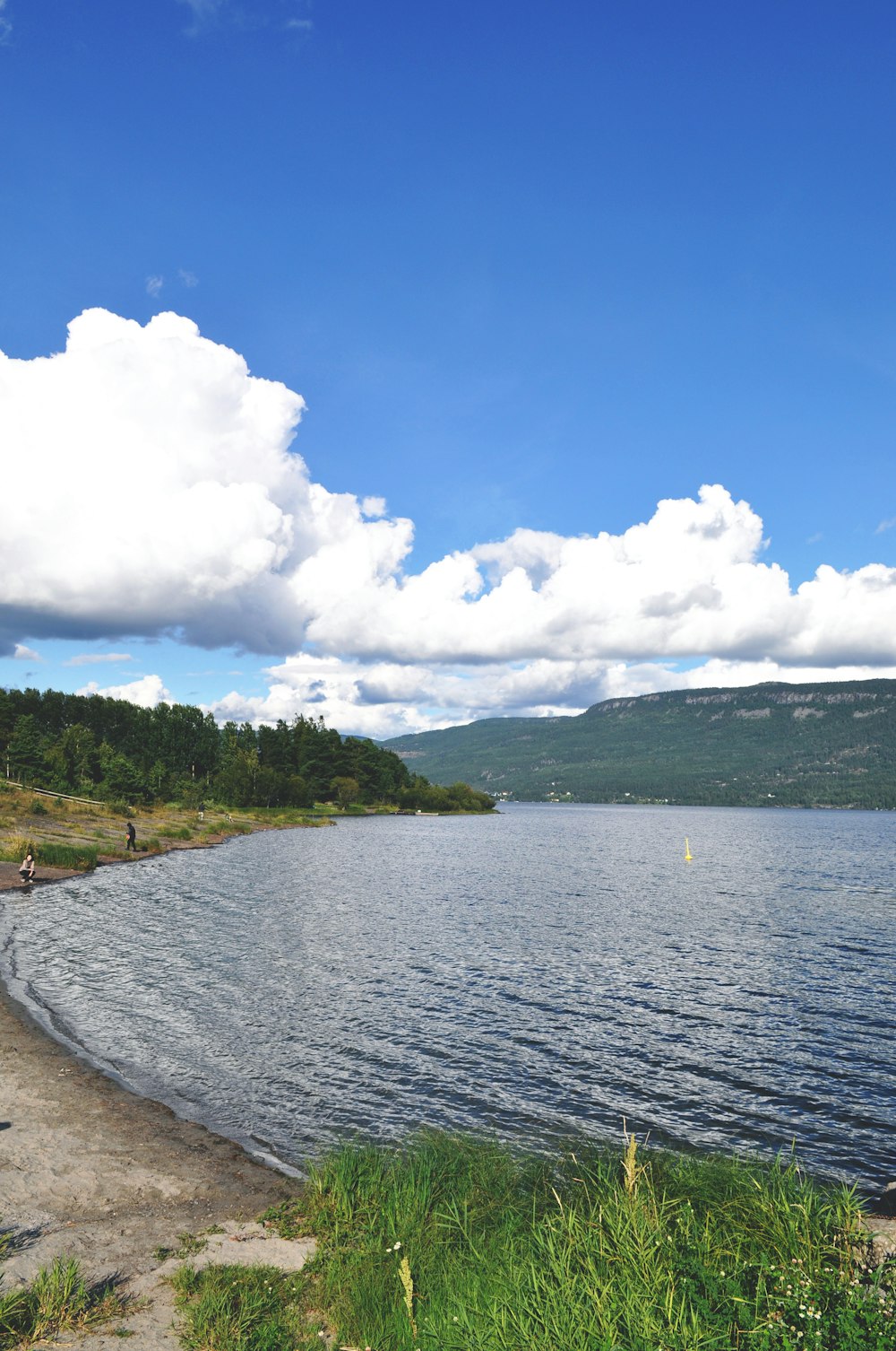 body of water near green trees under white clouds and blue sky during daytime