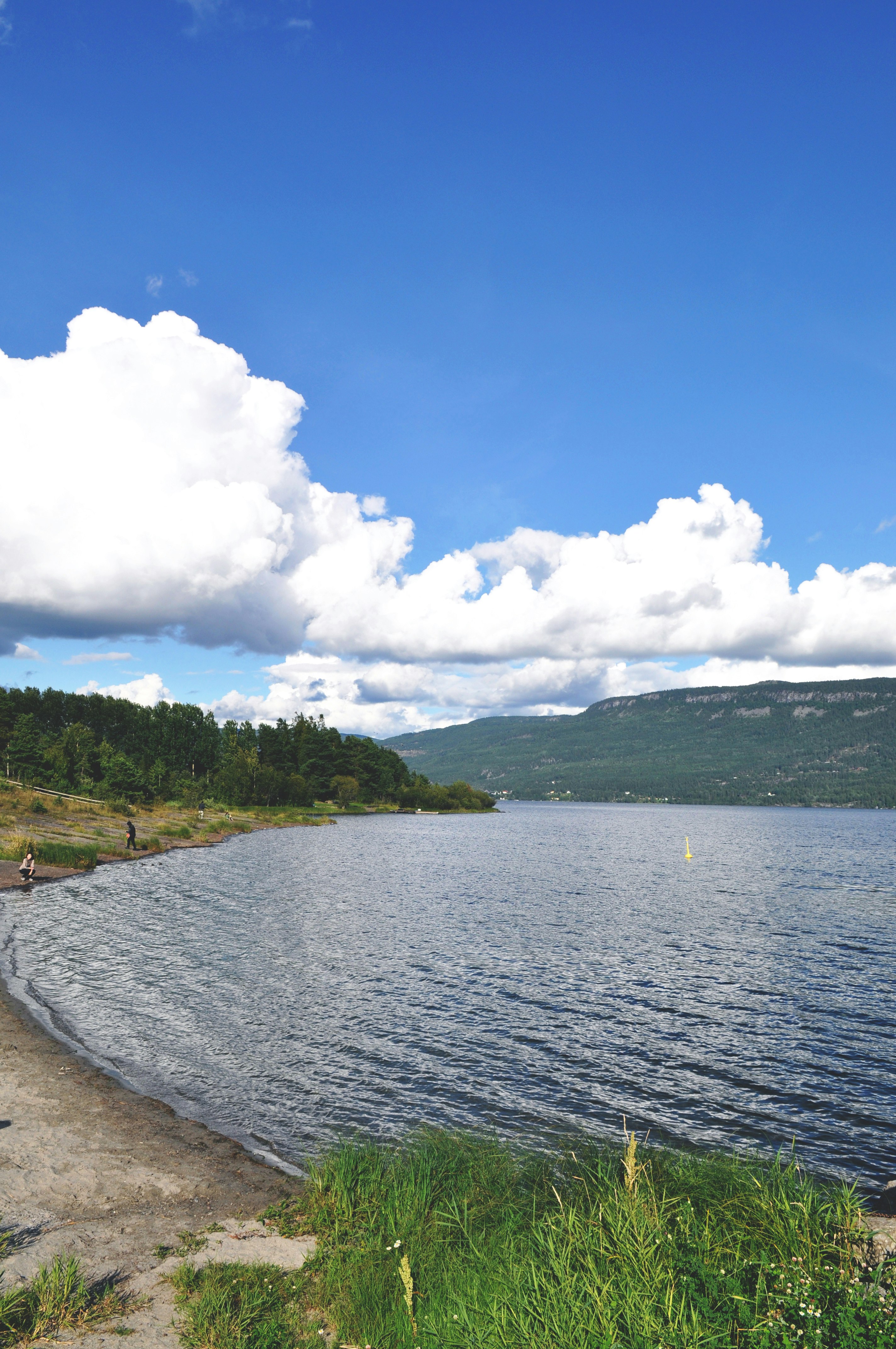 body of water near green trees under white clouds and blue sky during daytime