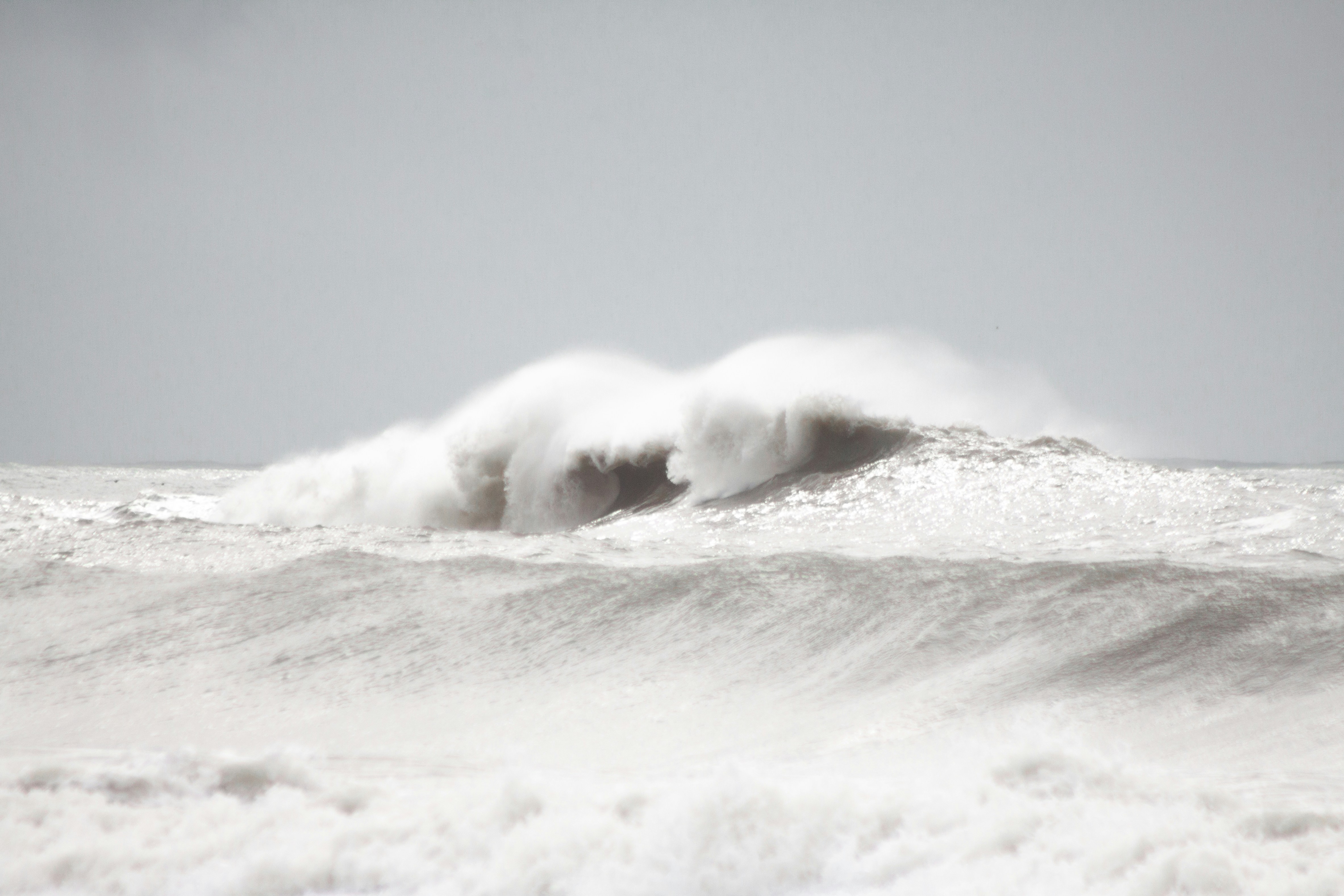 Photo by gabrieltfotografia