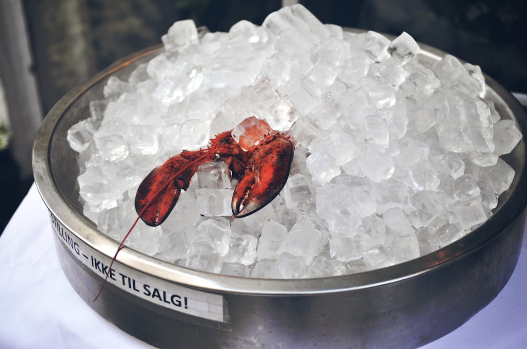 red lobster on white ice