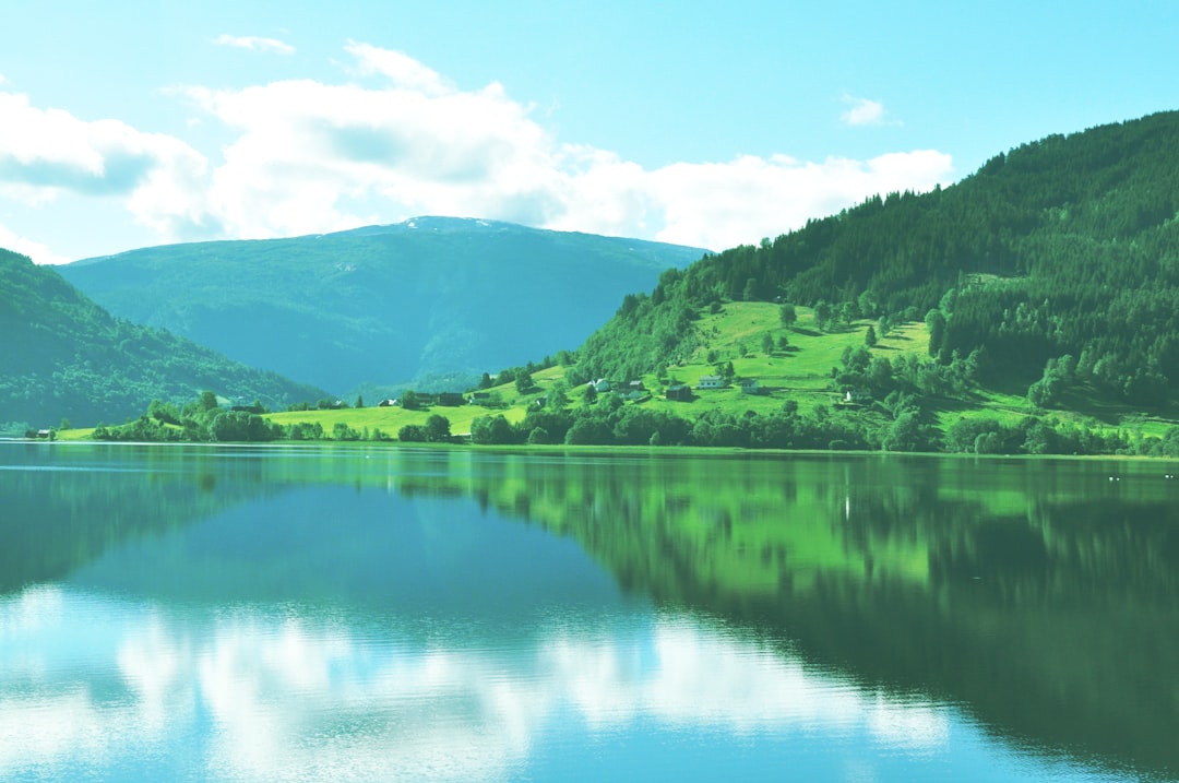 green trees near lake under blue sky during daytime