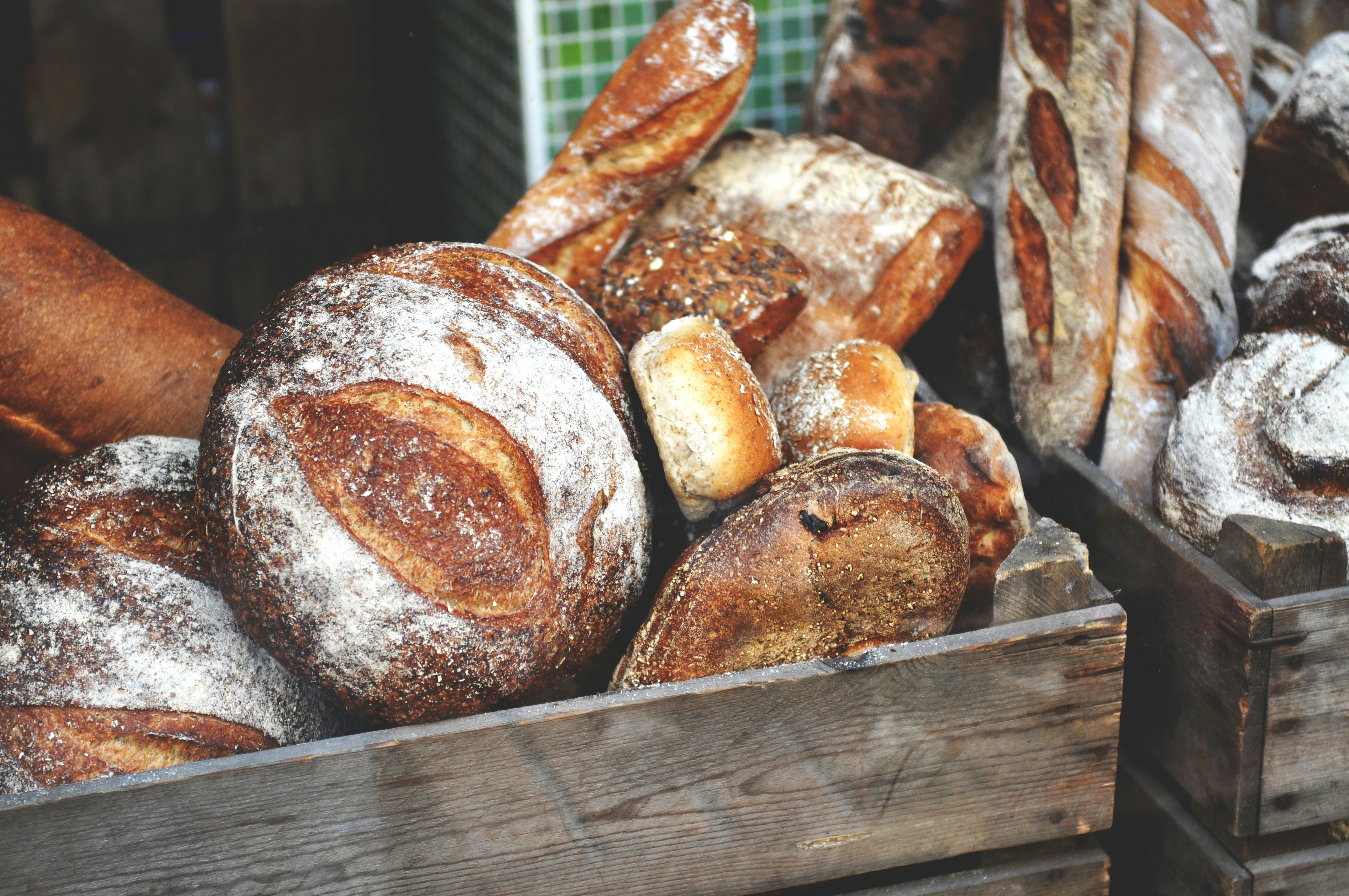 Photo by tommaomaoer