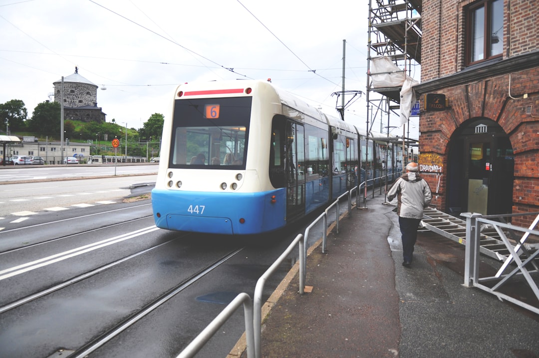 people walking on sidewalk near blue and white train during daytime