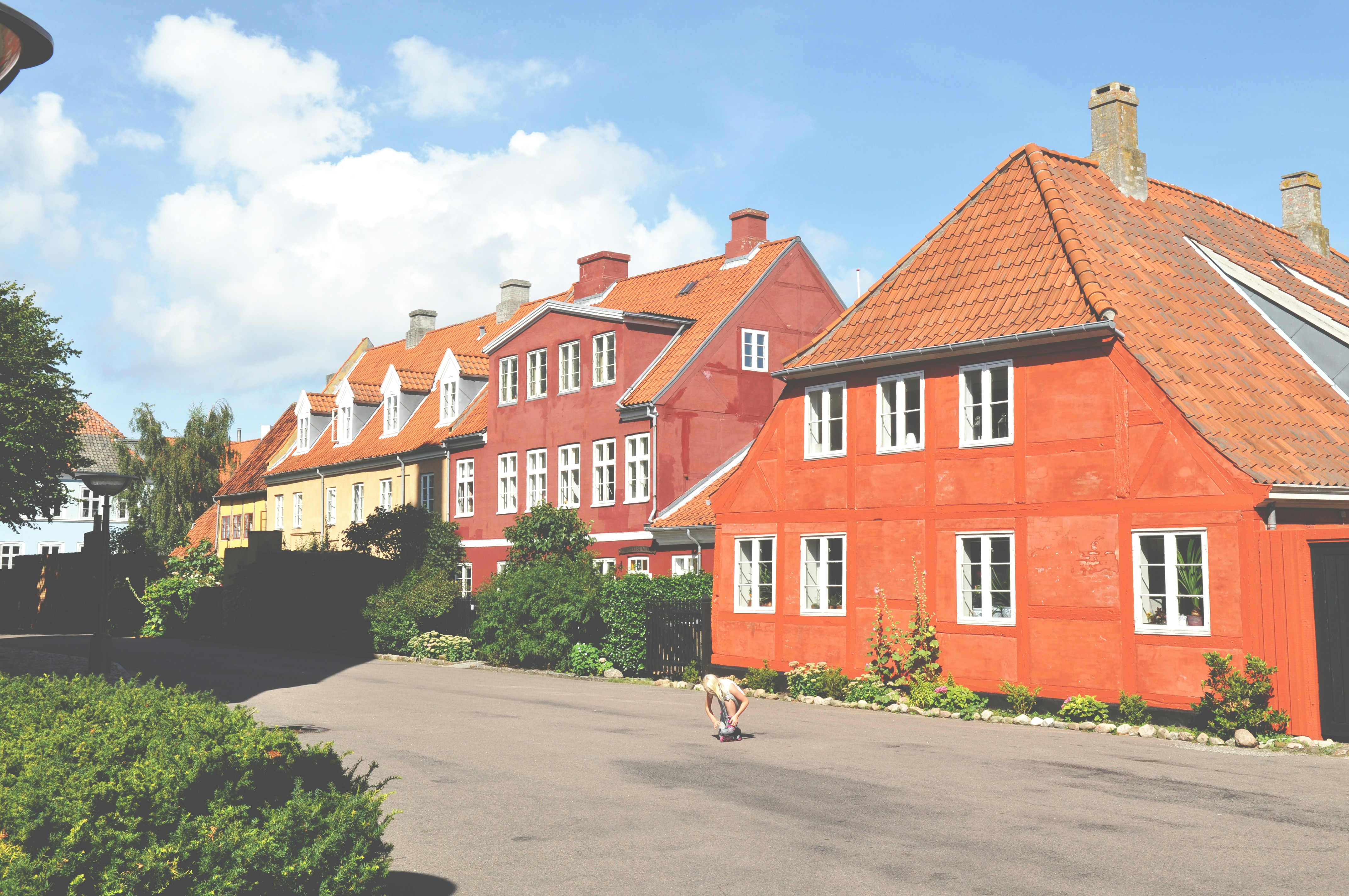 Photo by tommaomaoer