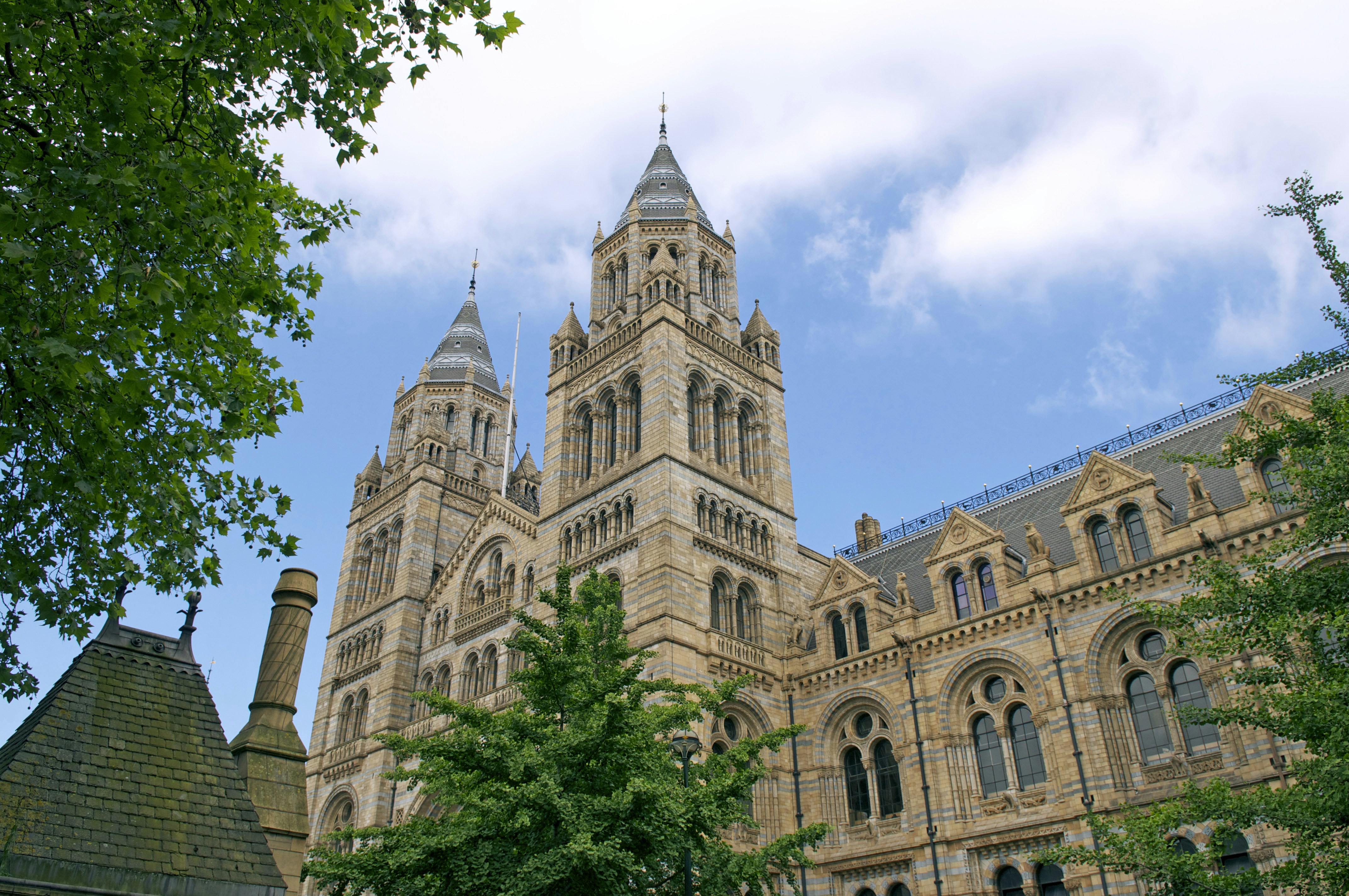 Photo by tommaomaoer