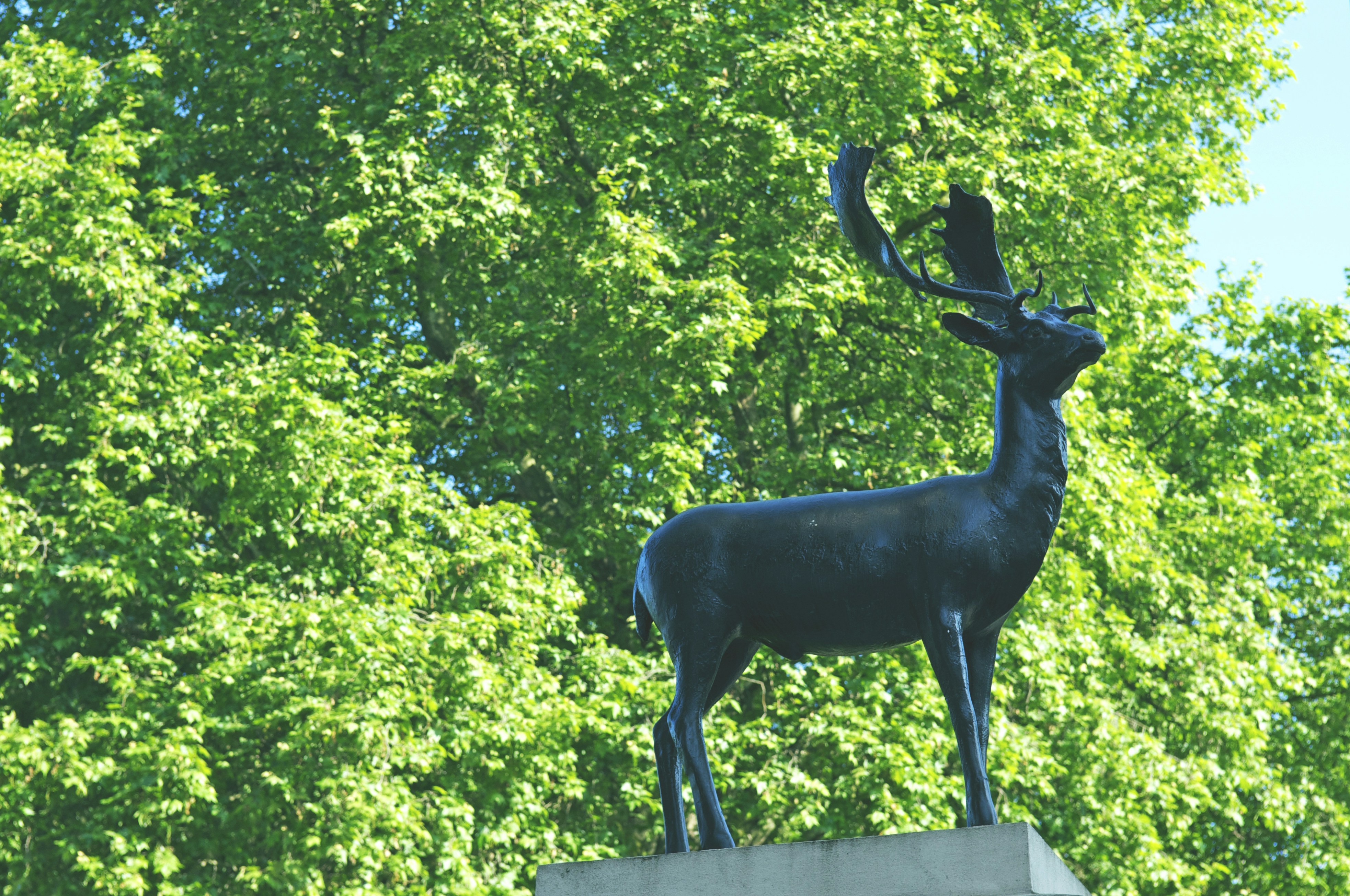 Black deer statue on gray concrete fence photo Free 英国 Image on Unsplash