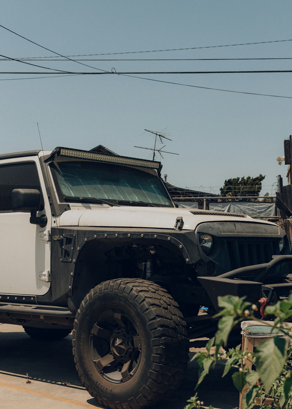 white and black jeep wrangler parked near green plants during daytime