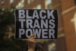 A person holds a sign with bold white letters on a black background that reads 'BLACK TRANS POWER', with an urban building in the blurred background.