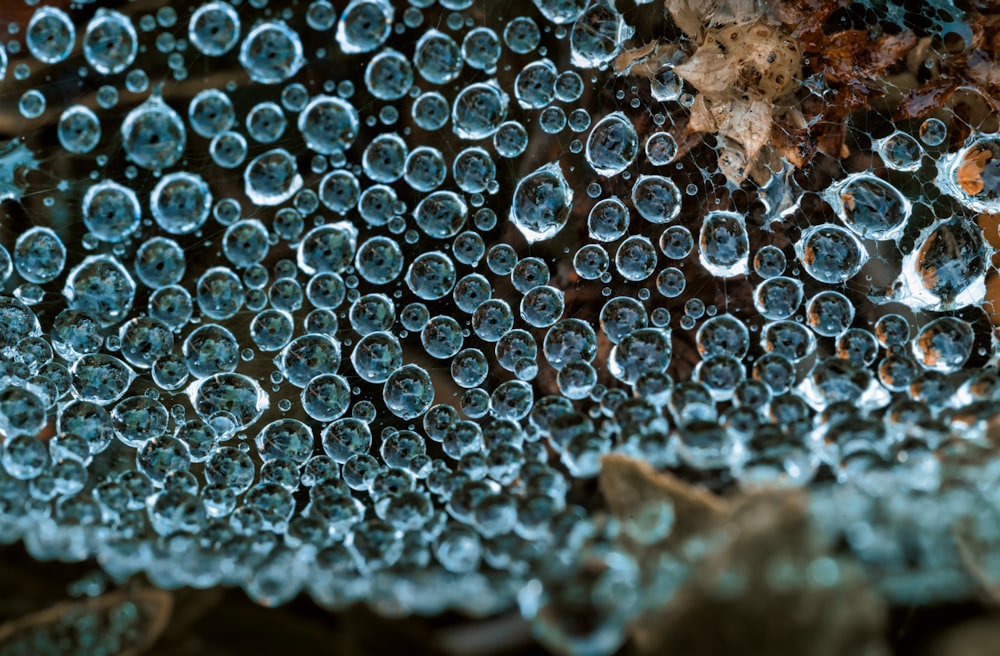 gouttelettes d’eau sur bois brun