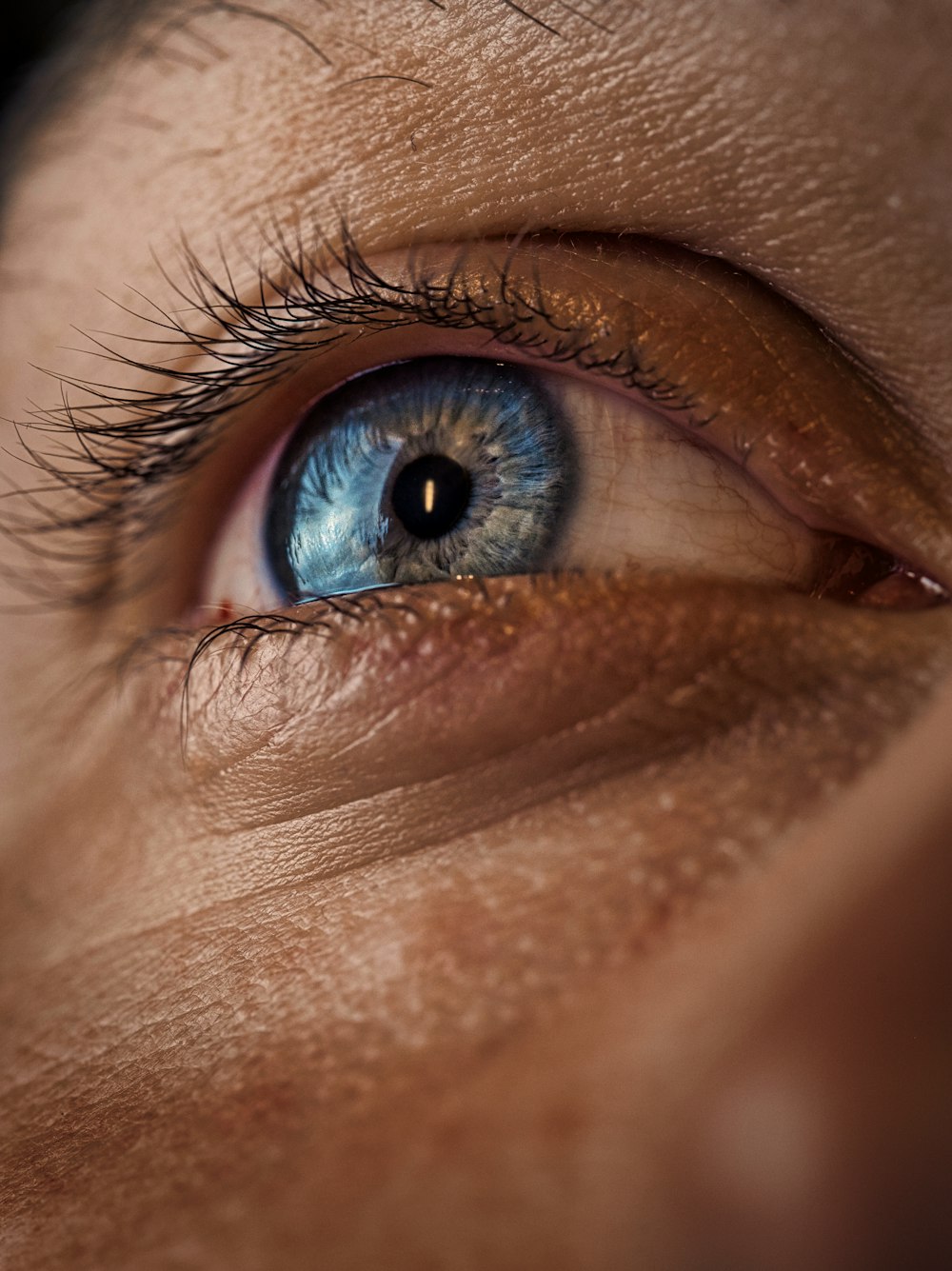 persons blue eyes in close up photography