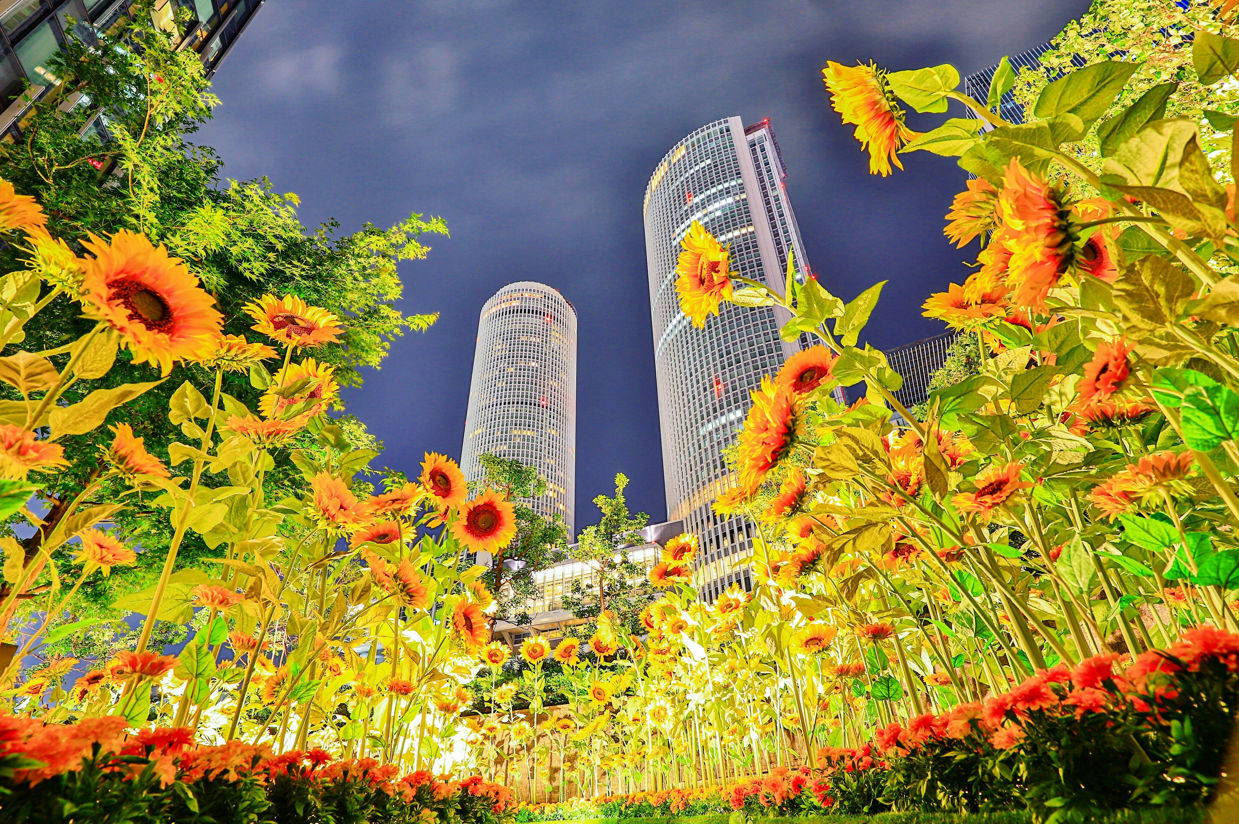 fleurs jaunes et rouges près d’un immeuble de grande hauteur
