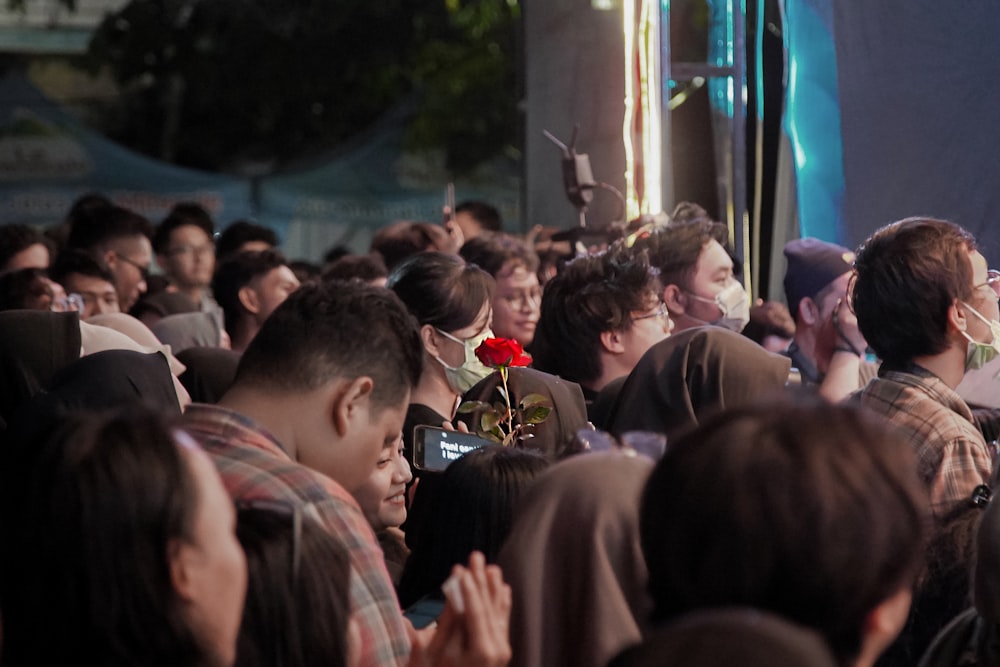 people gathering in a concert during night time