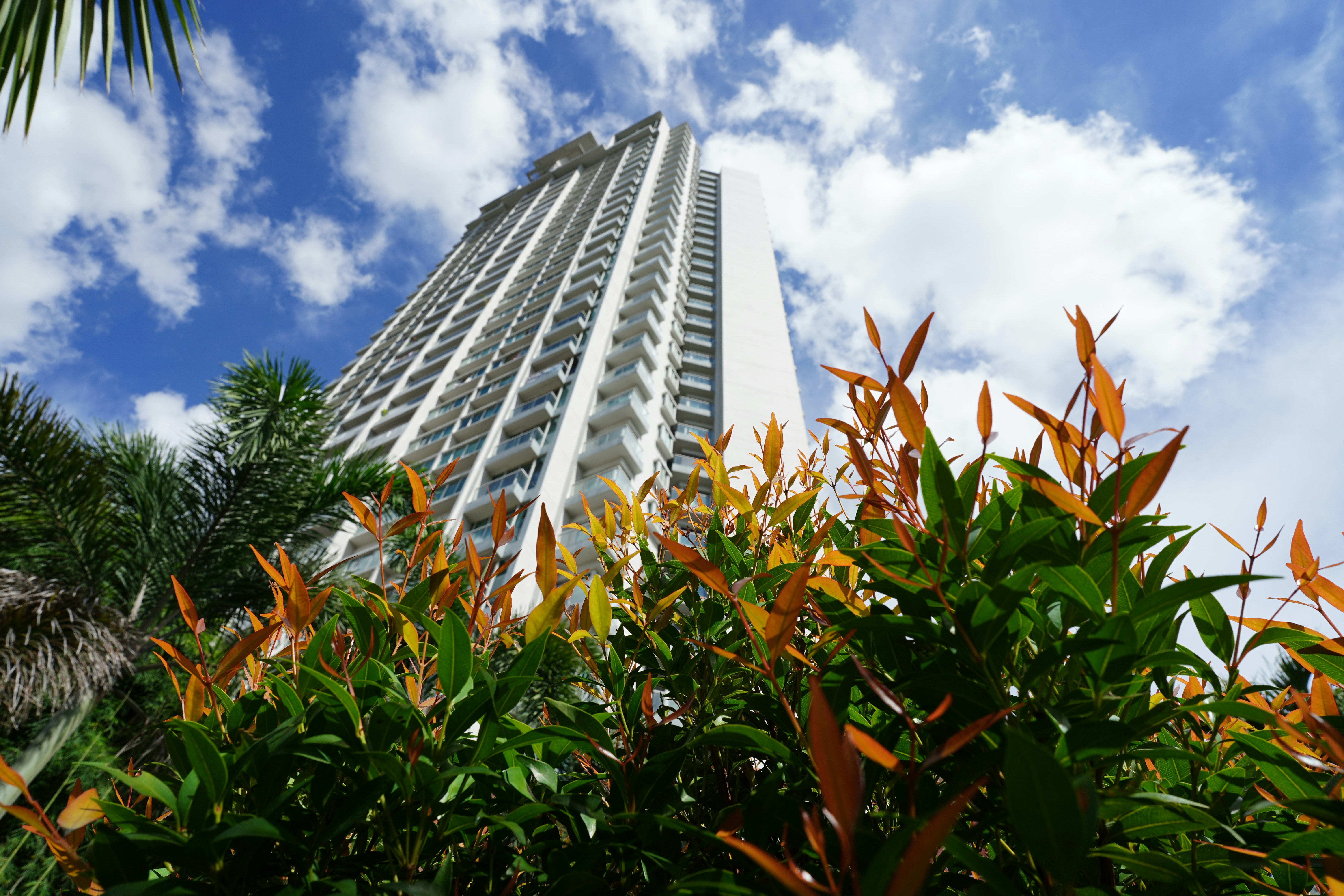 Photo by changshanzhaozilong