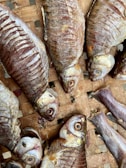 Several dried fish laid out on a woven bamboo mat. The fish appear desiccated, showing visible rib structures and sunken eyes. The earthy tones of the bamboo complement the muted, brownish hues of the fish scales.