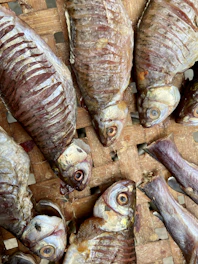 Close-up of sun-dried Sri Lankan dry fish laid out on traditional woven mats by the ocean.