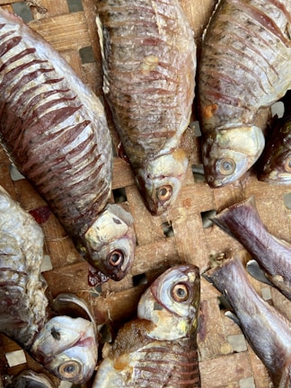 Several dried fish laid out on a woven bamboo mat. The fish appear desiccated, showing visible rib structures and sunken eyes. The earthy tones of the bamboo complement the muted, brownish hues of the fish scales.