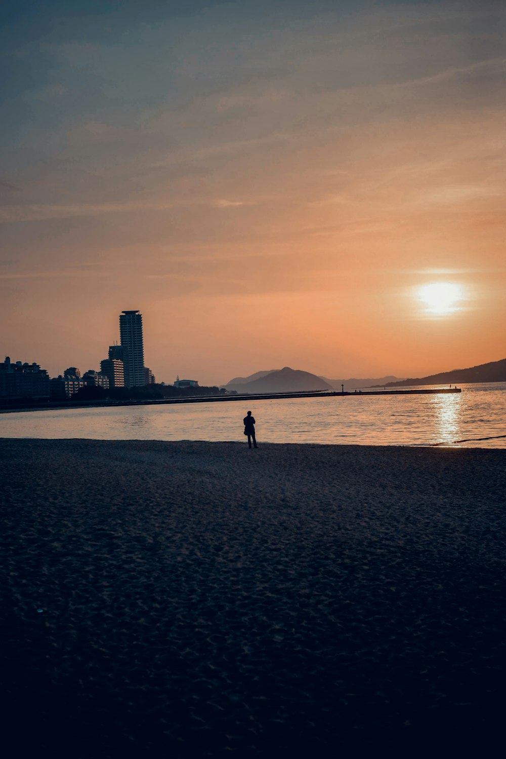 silhouette of 2 person standing on seashore during sunset