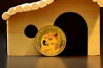 brown and black cat print box