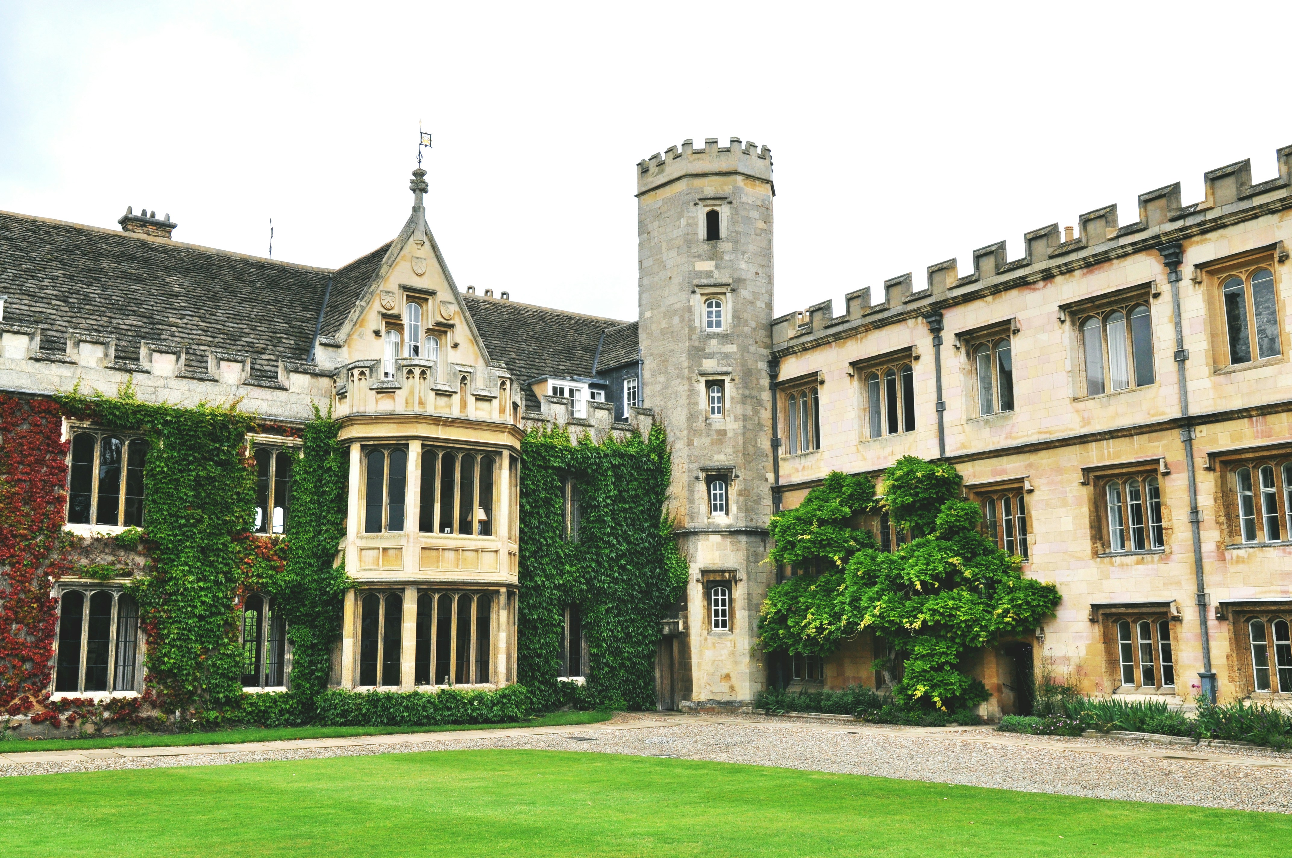 Photo by tommaomaoer